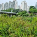 통복동행정복지센터 이미지