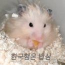 상도동솥뚜껑숭실대점