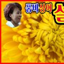 품바싱어 설녹수 (당신의눈물, 보라빛엽서, 울어라기타줄, 짝사랑(손인호), 짝사랑(고복수))등 이미지