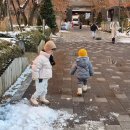 (주)강화홍삼공사 | 어린이 혈행건강 고민 유아 키즈홍삼 진세노사이드 추천