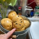 생명의 숲 | 시사회 &lt;생명의 은인&gt; 후기(스포X) 및 잠실 롯데월드몰 맛집 둘러보기