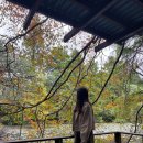 숙이네민박 | [태안여행] 가을 태안 가족휴가, 태안은 가도가도 새롭다 (천리포수목원-몽산포해수욕장)