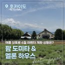 다부농장 | 6월 삿포로 팜 토미타 라벤더 개화상황 소요시간 준비물 (feat. 마이재팬 비에이 후라노 버스투어)