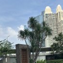 제이씨(JC)호텔 이미지