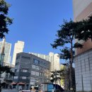 평지 | 마포의 스테디셀러 마포자이1차아파트 임장후기(학군, 평지 다갖춘곳)