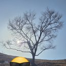 민둥산 850 전망대 | 강원 정선 억새명소 민둥산 등산 후기 - 민둥산 최단거리 코스, 주차안내