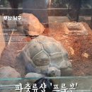 프루븐 | [부산여행] 파충류샵 프루븐 :: 부산 실내 이색데이트 코스 추천 (바우처구매 이용방법, 주차, 관람후기)