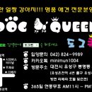 베스애견 이미지