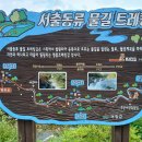 7월20일 출석부 거창 월성계곡 서출동류 트랙킹 사진 이미지