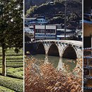 전남 보성에가다 이미지