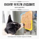 슬로우도 | 강아지 슬로우피더 추천템, 히야펫 무지개 리킹매트 후기