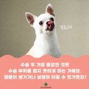 곤지암동물병원