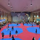 용인대국가대표태권도스쿨 노컷뉴스