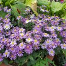 경원치과의원 이미지