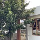 화순양옥 이미지