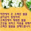 예인양봉