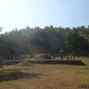 사이박천 이미지