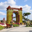 목마송이 이미지