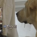수수케키