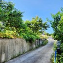 도화민박 이미지