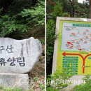 좌구산 옥상정원 이미지