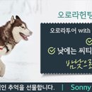 크리스마스 이브와 크리스마스날 같이 노실분!! 밴쿠버 이미지