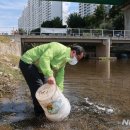 월문천2 이미지