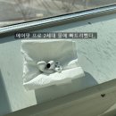 허허 | 에어팟 프로 2세대 침수 사고 후기,,세탁기에 돌림쓰,,허허
