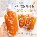 제주건강즙 | 제주 구좌 당근즙 100% 착즙주스 후기｜진한 당근의 달콤함, 건강주스 추천