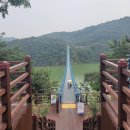 물고기태양광발전소 이미지