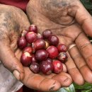 사방염소농장 이미지