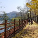 금강 자전거길 이미지