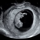 유테라산부인과의원 이미지