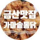 금산천길 골목 | 금산 맛집 구이구이 가마솥통닭 수제꼬치까지