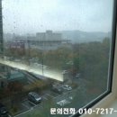 풀리치