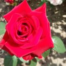 성당우방아파트 이미지