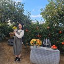 유한회사 평화농장 | 2025 제주도 2박 3일 워크샵 후기