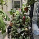 CU한라비발디점 | 전포역꽃집 추천 ‘프리마원’