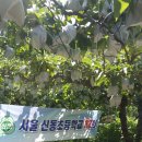 성옥농장 이미지