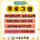다일유치원 | 아이들이 즐겁게 배우는 진안동 다일 유치원 이야기