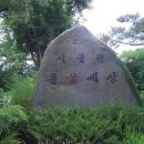 들꽃세상 이미지