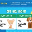 퍼피맘마 이미지