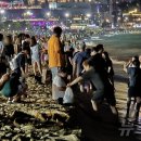 바글바글 이미지