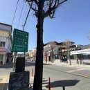 원조안의갈비 삼일식당 | since1985 통영대전고속도로에서 만난 인생갈비찜 | 함양 안의면 삼일식육식당