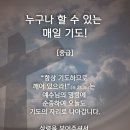 누구나 할수 있는 매일기도 말씀카드 이미지