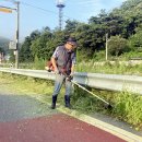 송면민원봉사실 이미지