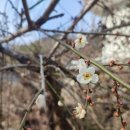 다올부동산중개 이미지