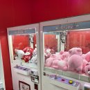 zemna zemna 이미지