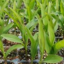 느림보농장 이미지