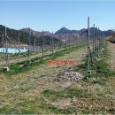 거창읍-13 이미지